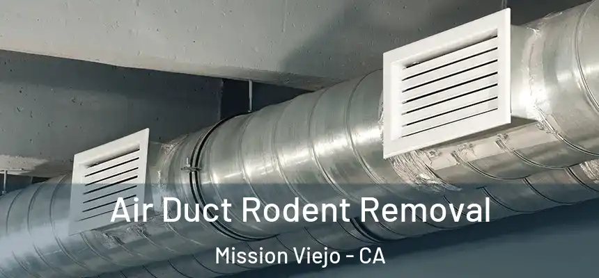 Air Duct Rodent Removal Mission Viejo - CA