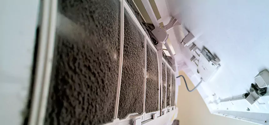 Preventive Air Duct Bacteria Removal in Mission Viejo