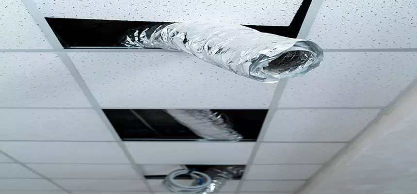 Our Air Duct Pet Hair Removal Services in Mission Viejo, CA