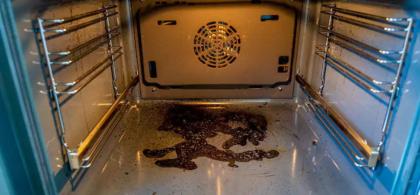 Our Dryer Vent Mold Cleaning Services in Mission Viejo, CA