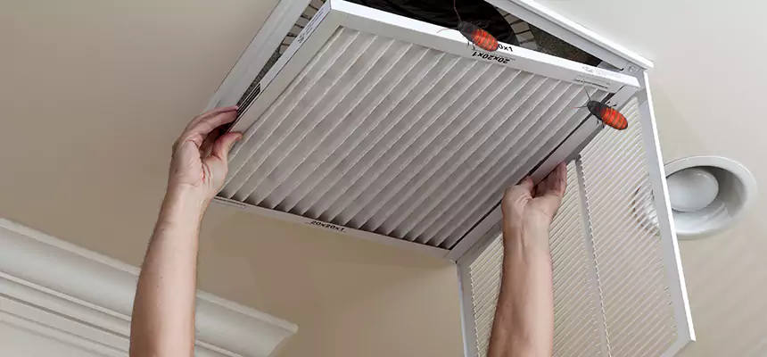 Our Insect Removal from Air Ducts Services in Mission Viejo, CA
