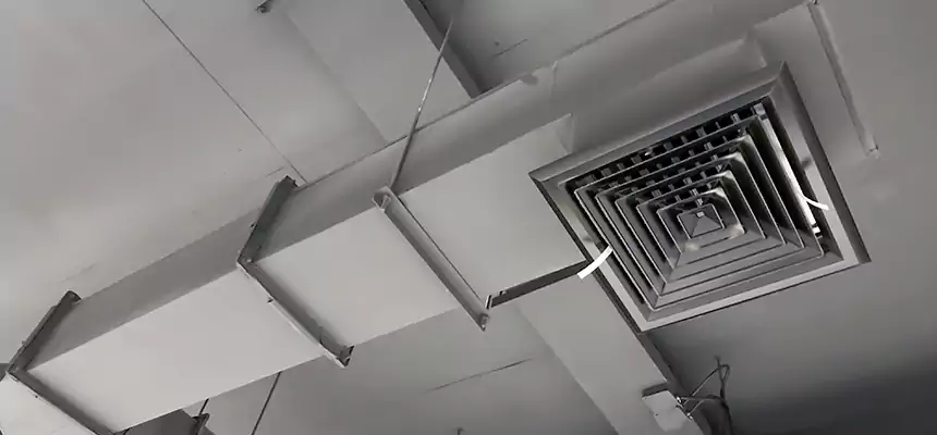 Our Rodent Droppings In Vents Services in Mission Viejo, CA