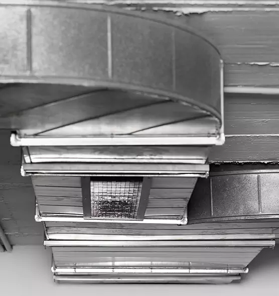 Professional Air Duct Pet Hair Removal in Mission Viejo, CA