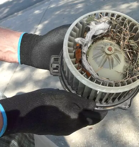 About Air Duct Rat Removal in Mission Viejo, CA