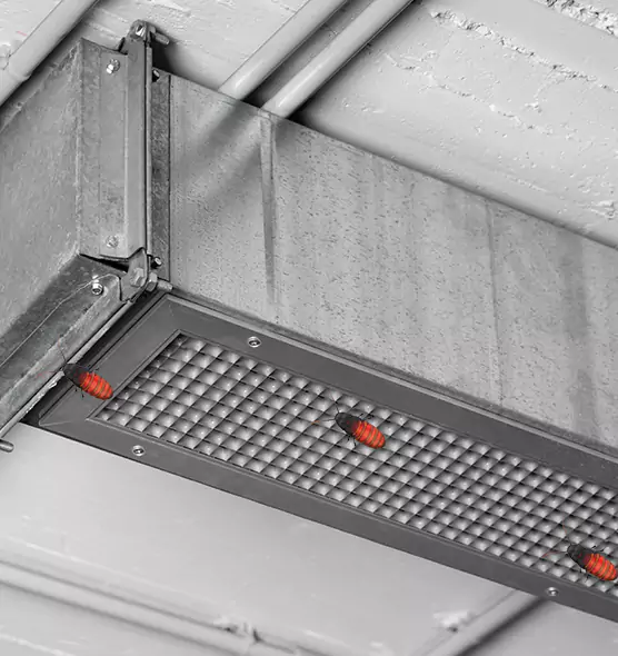 Affordable Insect Removal from Air Ducts in Mission Viejo, CA