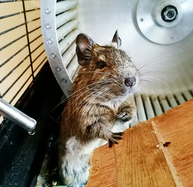 Why Homeowners & Businesses Trust Us Mission Viejo, CA?