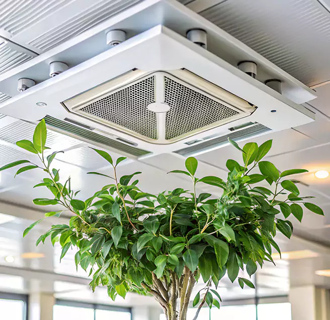 Why Homeowners & Businesses Trust Us in Mission Viejo, CA?