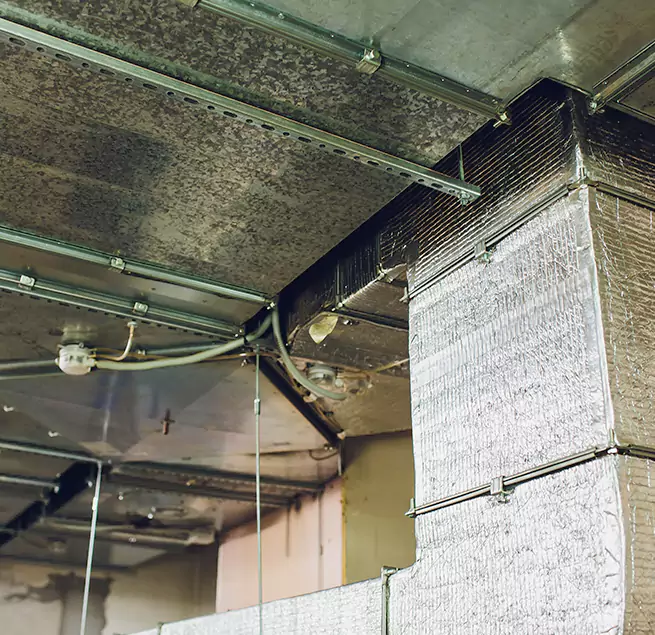 Why Homeowners & Businesses Trust Us in Mission Viejo, CA?